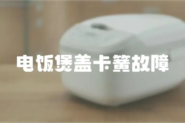 電飯煲蓋卡簧故障
