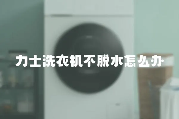 力士洗衣機不脫水怎么辦