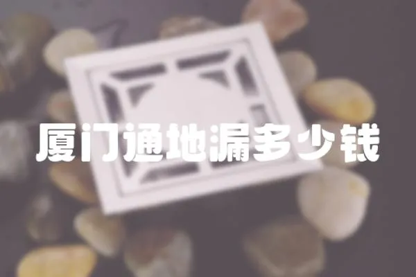 廈門通地漏多少錢