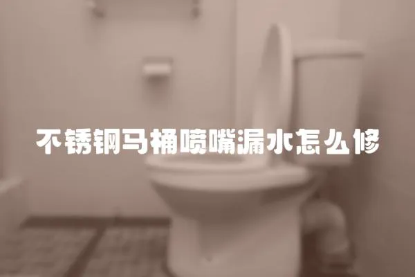 不銹鋼馬桶噴嘴漏水怎么修