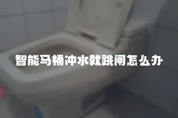 智能马桶冲水就跳闸怎么办