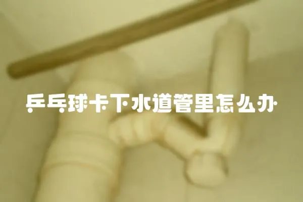乒乓球卡下水道管里怎么辦
