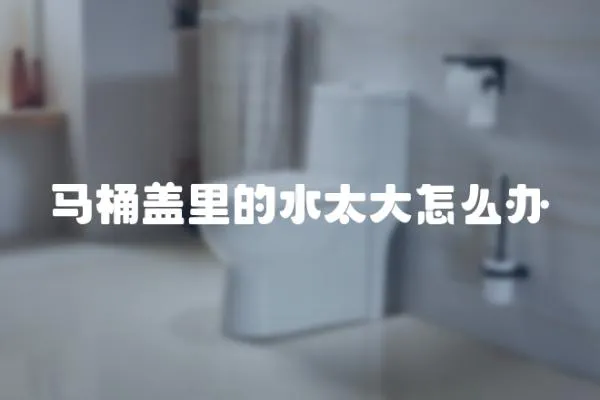 馬桶蓋里的水太大怎么辦