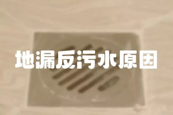 地漏反污水原因