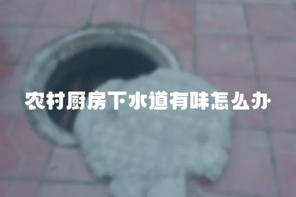 農村廚房下水道有味怎么辦