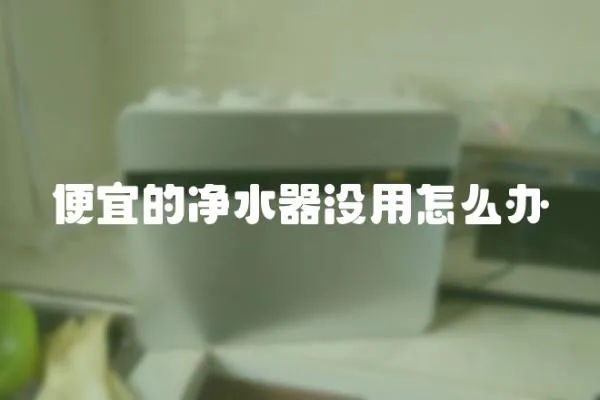 便宜的凈水器沒用怎么辦