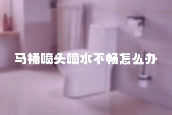 馬桶噴頭噴水不暢怎么辦