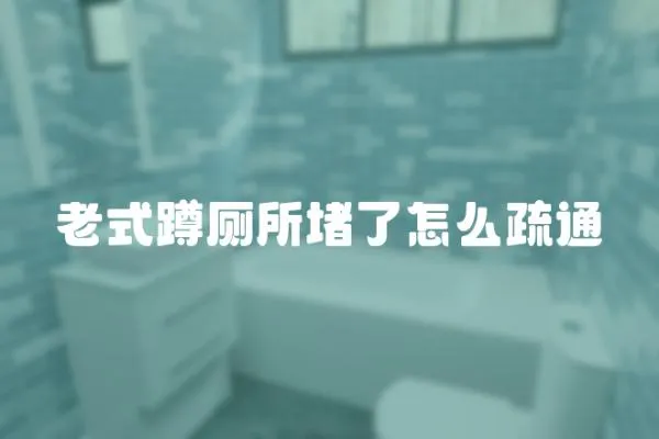 老式蹲廁所堵了怎么疏通