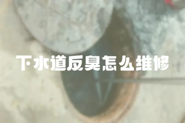 下水道反臭怎么維修