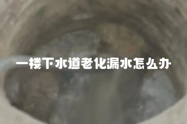 一楼下水道老化漏水怎么办