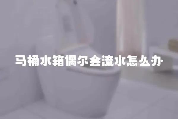 馬桶水箱偶爾會流水怎么辦