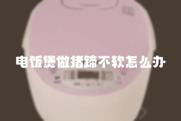 電飯煲做豬蹄不軟怎么辦