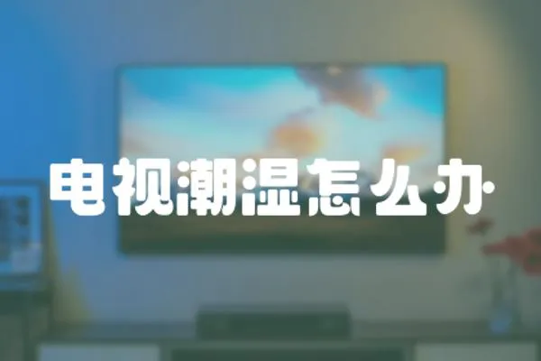 電視潮濕怎么辦