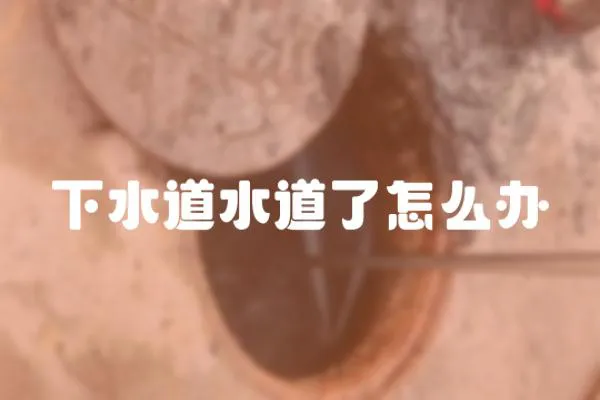 下水道水道了怎么辦