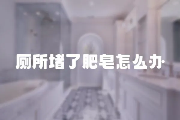 廁所堵了肥皂怎么辦