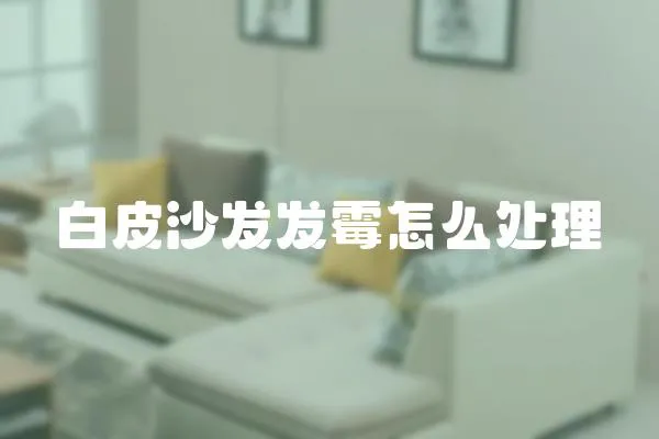 白皮沙發發霉怎么處理