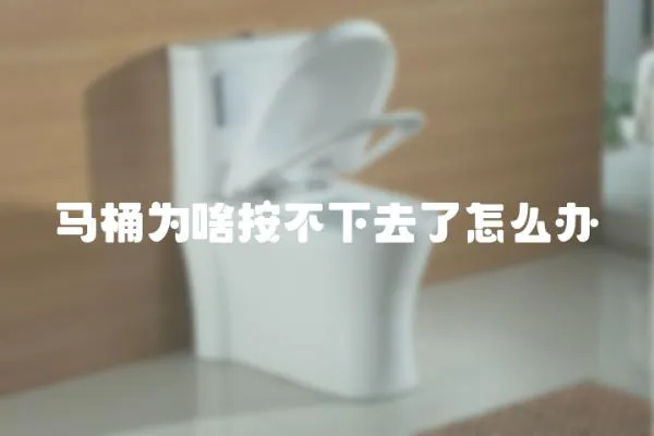 馬桶為啥按不下去了怎么辦