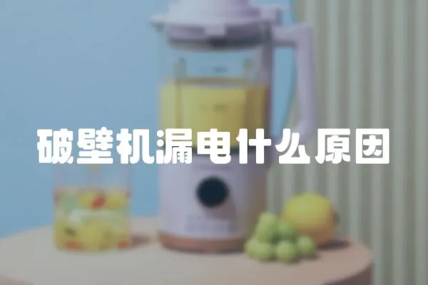 破壁機(jī)漏電什么原因