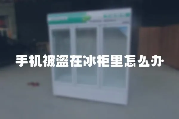 手機(jī)被盜在冰柜里怎么辦