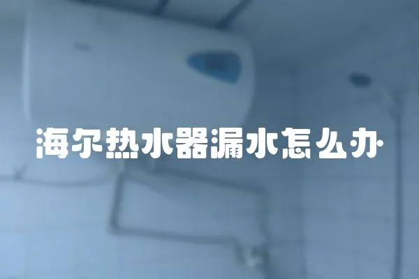 海爾熱水器漏水怎么辦