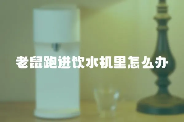 老鼠跑進飲水機里怎么辦