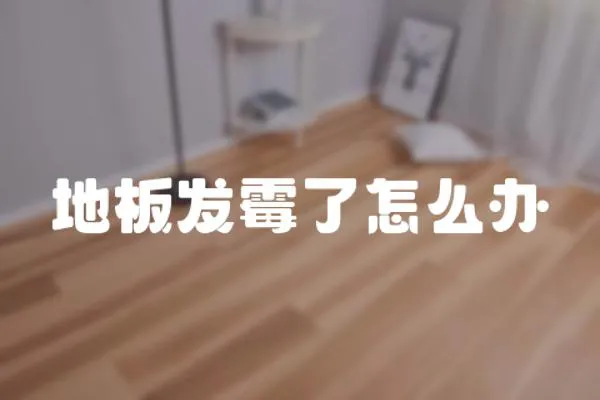 地板發霉了怎么辦