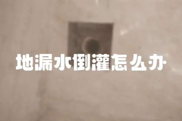 地漏水倒灌怎么辦