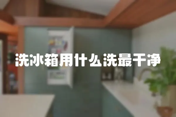洗冰箱用什么洗最干凈