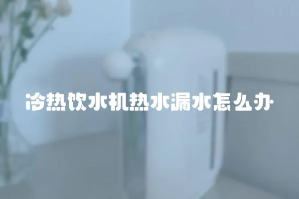 冷熱飲水機(jī)熱水漏水怎么辦