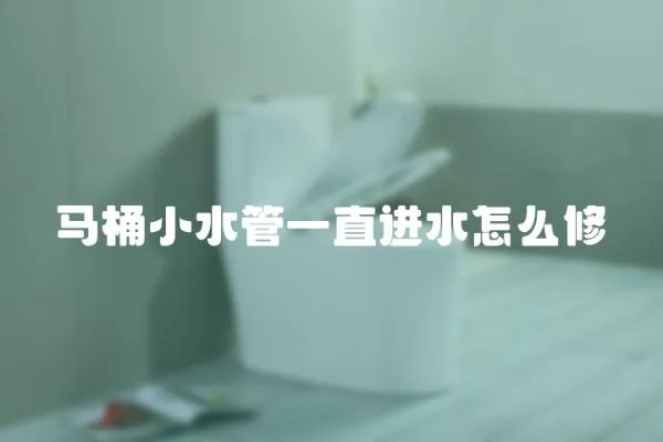 馬桶小水管一直進(jìn)水怎么修