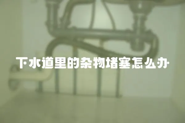 下水道里的雜物堵塞怎么辦
