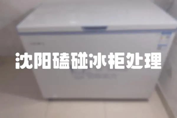 沈陽磕碰冰柜處理