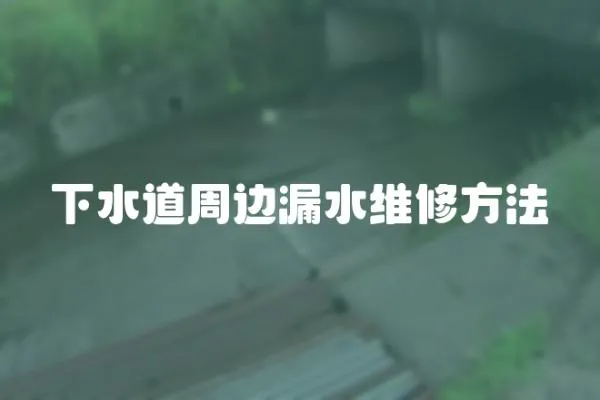 下水道周邊漏水維修方法