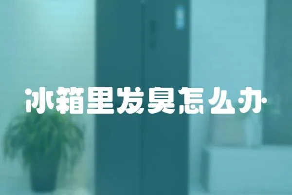 冰箱里發(fā)臭怎么辦