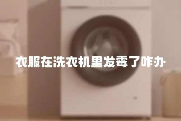衣服在洗衣機(jī)里發(fā)霉了咋辦