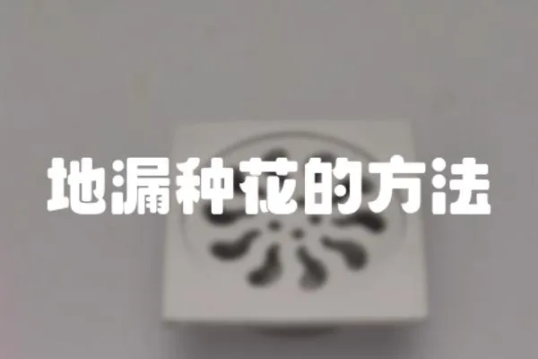 地漏種花的方法