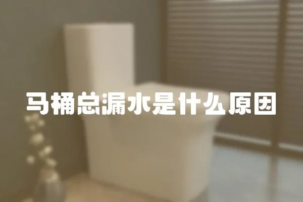 馬桶總漏水是什么原因