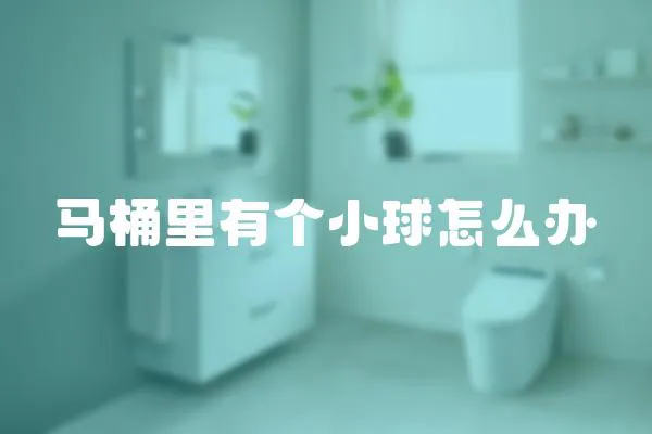 馬桶里有個小球怎么辦