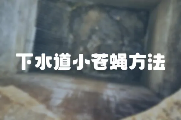 下水道小蒼蠅方法