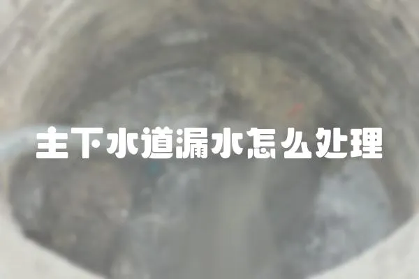 主下水道漏水怎么處理