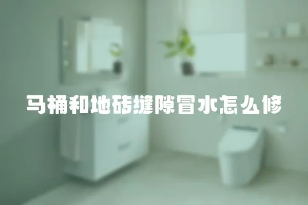 馬桶和地磚縫隙冒水怎么修