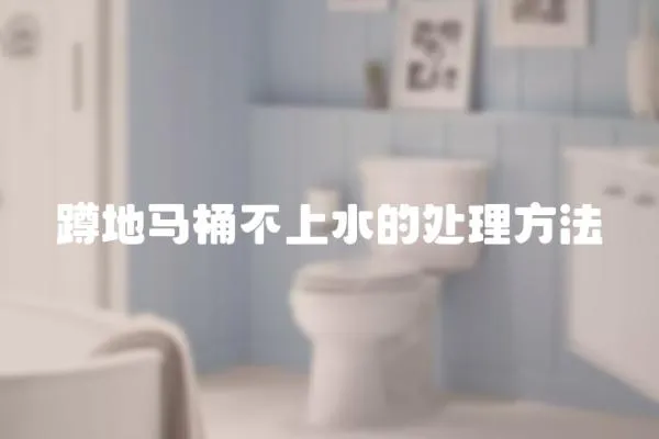 蹲地馬桶不上水的處理方法