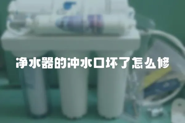 凈水器的沖水口壞了怎么修