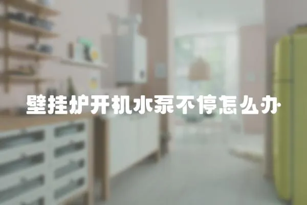 壁掛爐開機水泵不停怎么辦