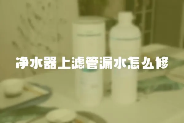 凈水器上濾管漏水怎么修