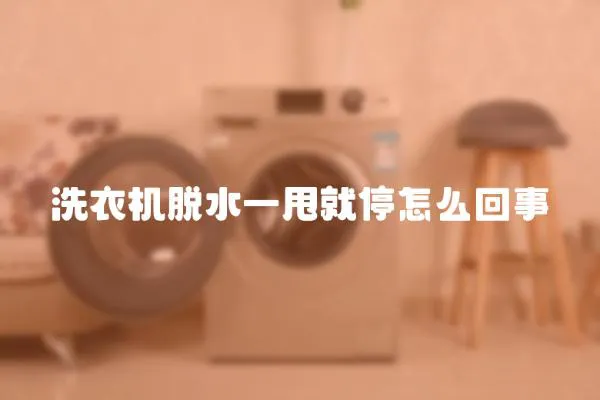 洗衣機脫水一甩就停怎么回事