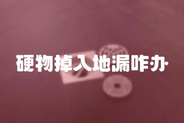 硬物掉入地漏咋辦