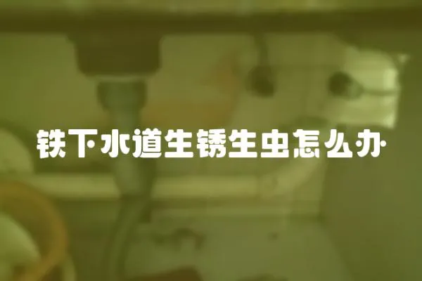 鐵下水道生銹生蟲怎么辦