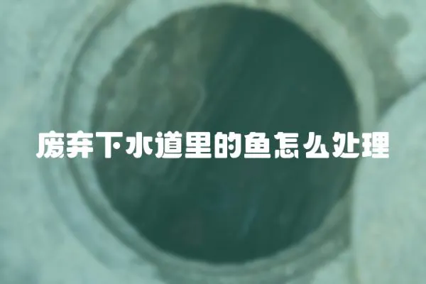 廢棄下水道里的魚怎么處理