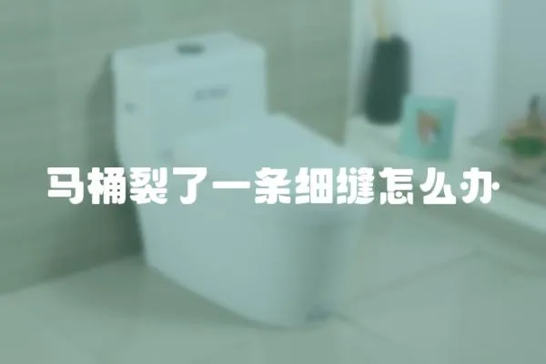 馬桶裂了一條細縫怎么辦